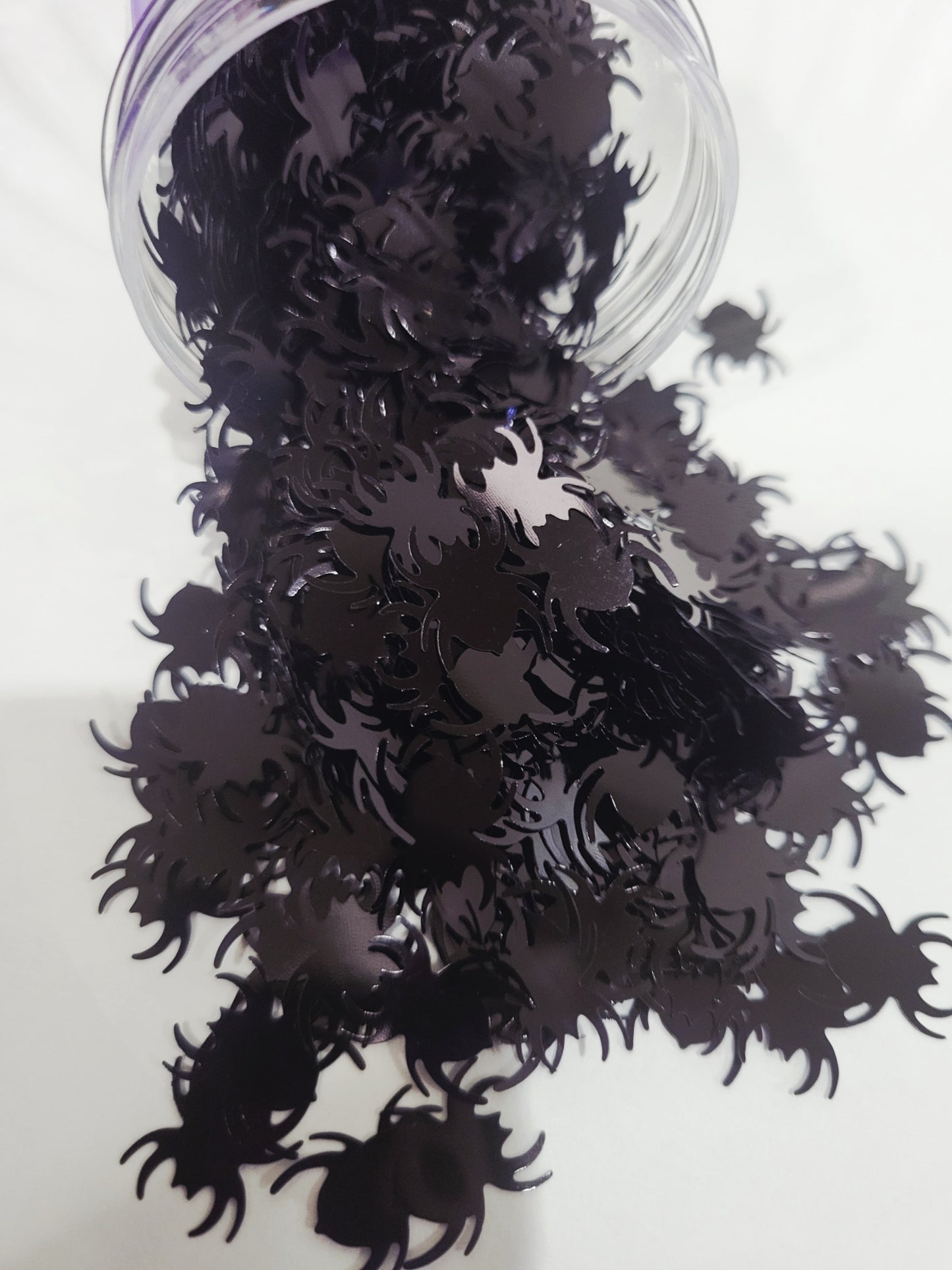Spiders